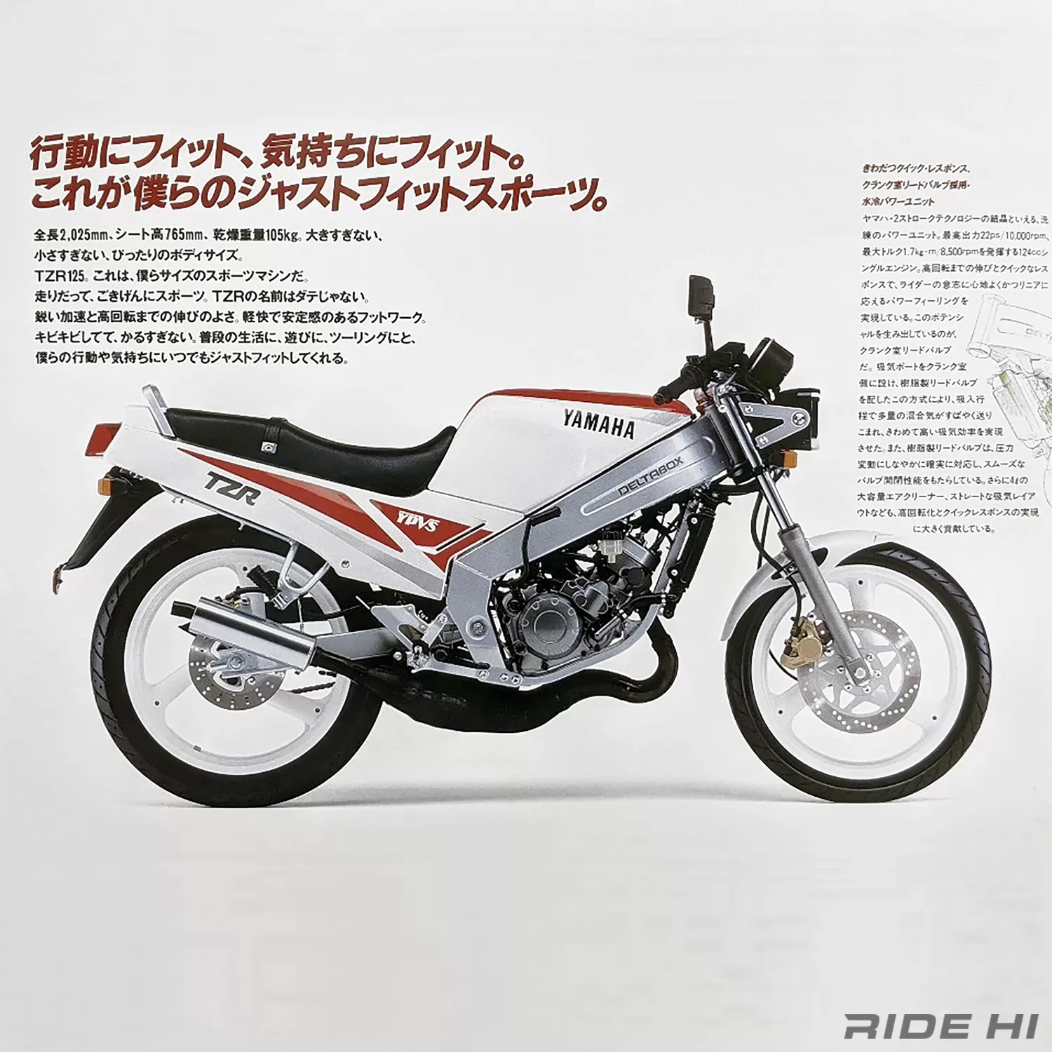赤白カウンター(高レート) ZX-25R | Moto-Gallery