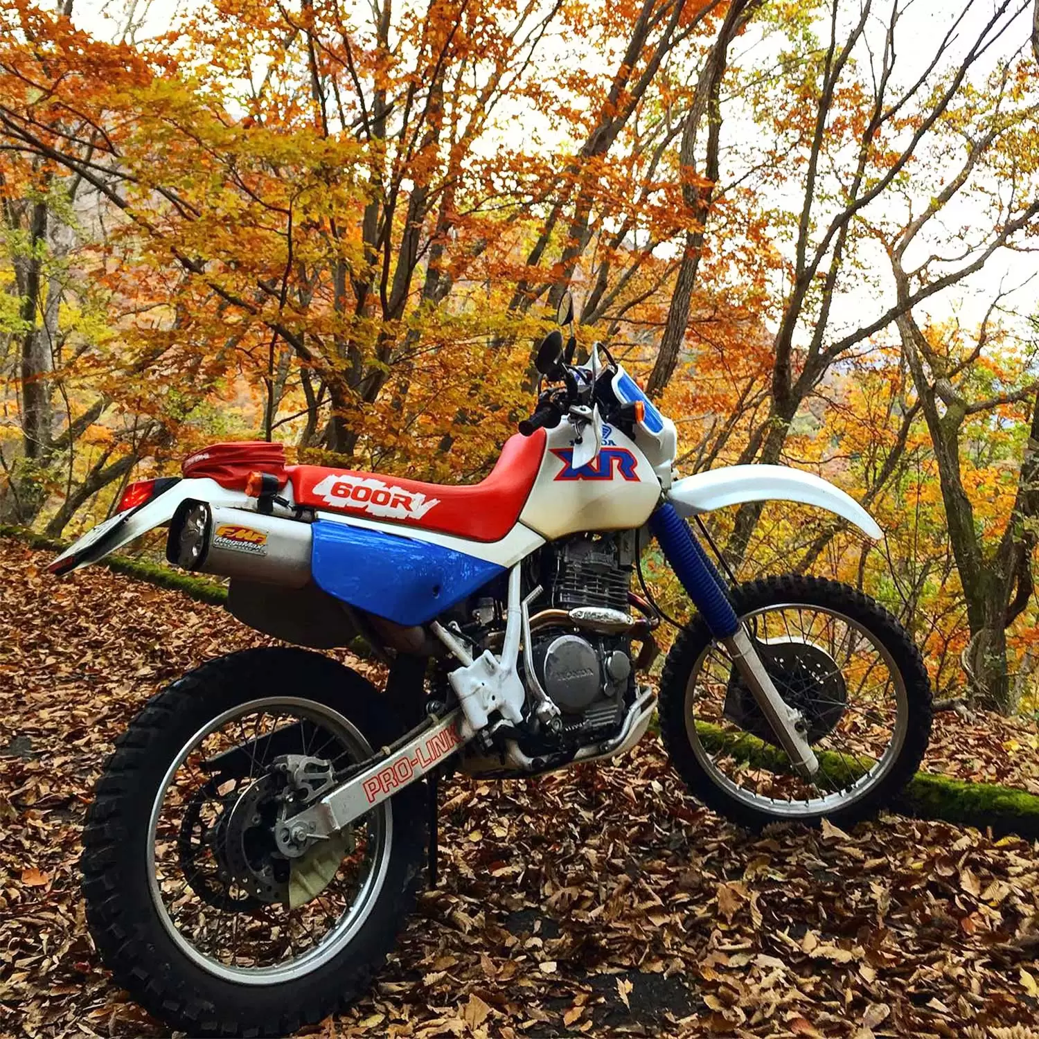 宮城 光のAction Speed Tokyo Vol.2「XR600Rで林道へ！ スピード