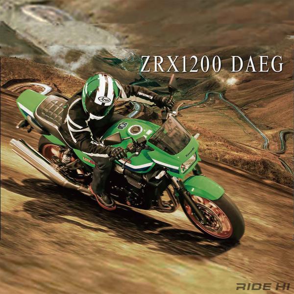 kawasaki_zrx1200daeg_2009-16model_260728_main.jpg