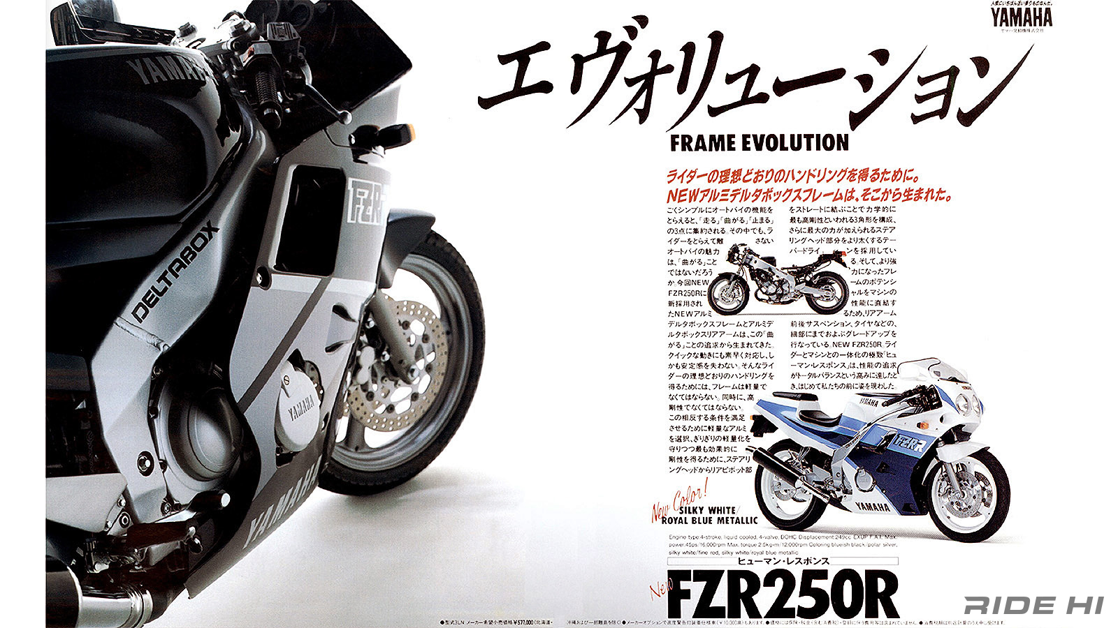 yamaha_fz_fzr_fzr-r_fzx_250_20250128_11